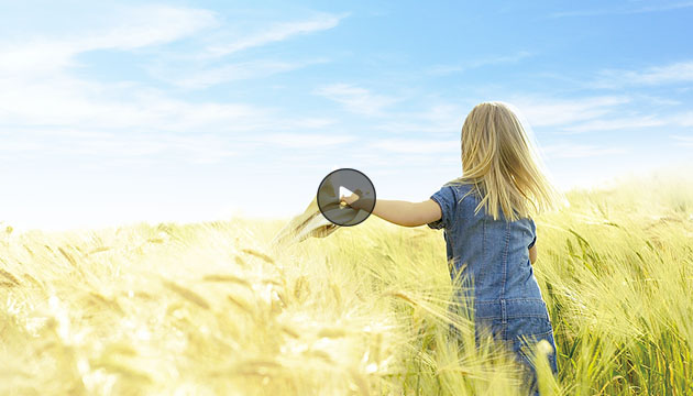 中芯国际·社会责任报告