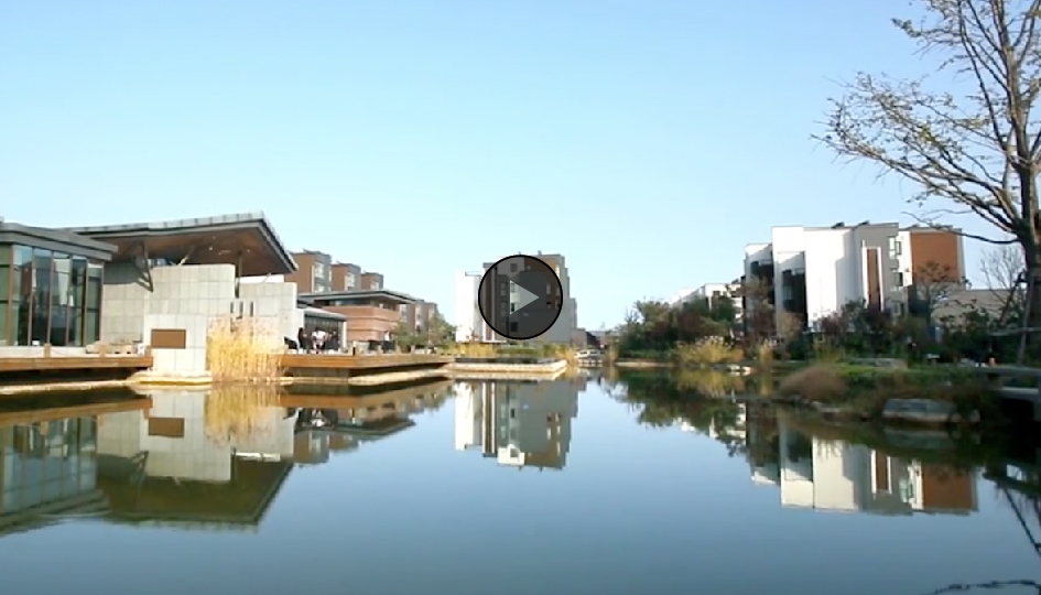 中建东孚 中建东孚